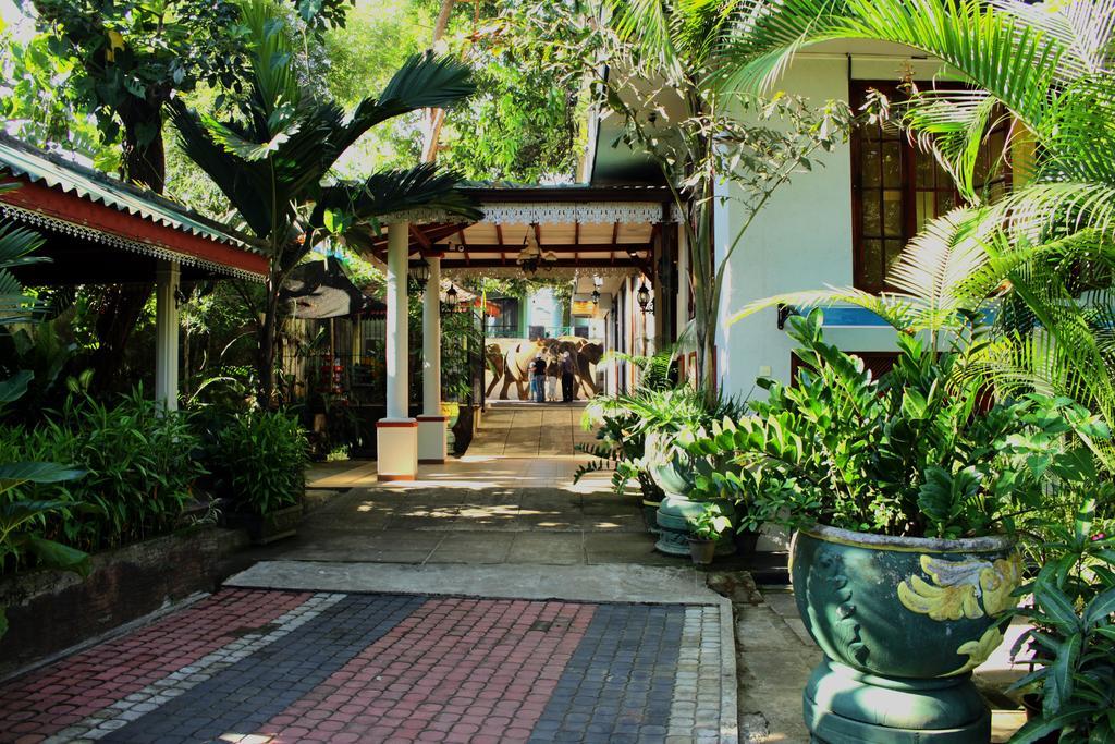 Green Land Guest House Pinnawala  Dış mekan fotoğraf