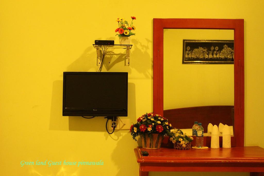 Green Land Guest House Pinnawala  Dış mekan fotoğraf