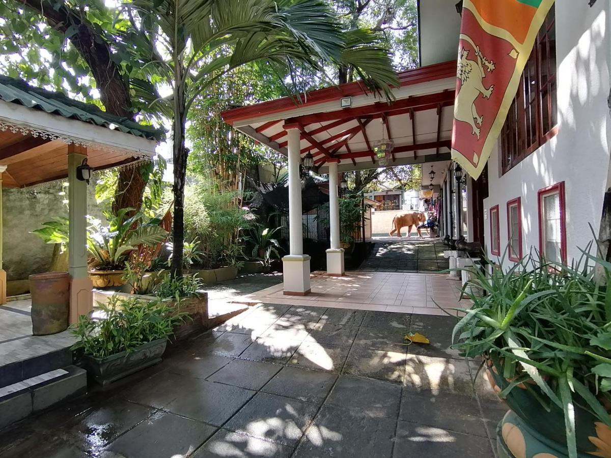 Green Land Guest House Pinnawala  Dış mekan fotoğraf